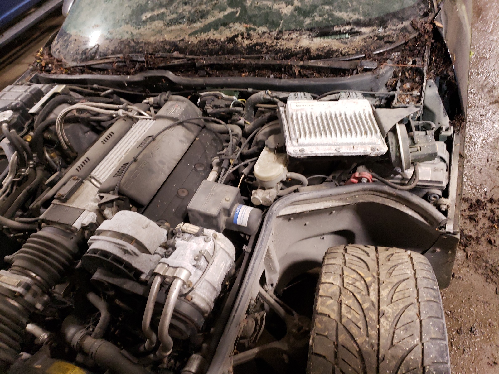 1G1YY22P2R5111465 1994 Chevrolet Corvette