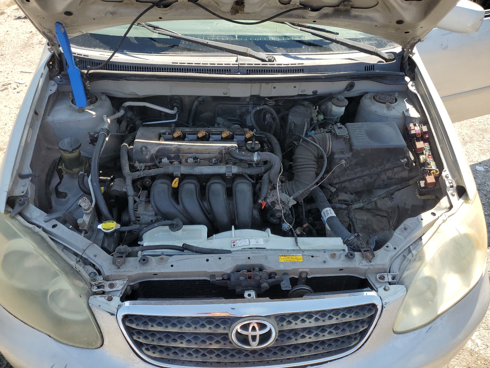 JTDBR32E130041346 2003 Toyota Corolla Ce