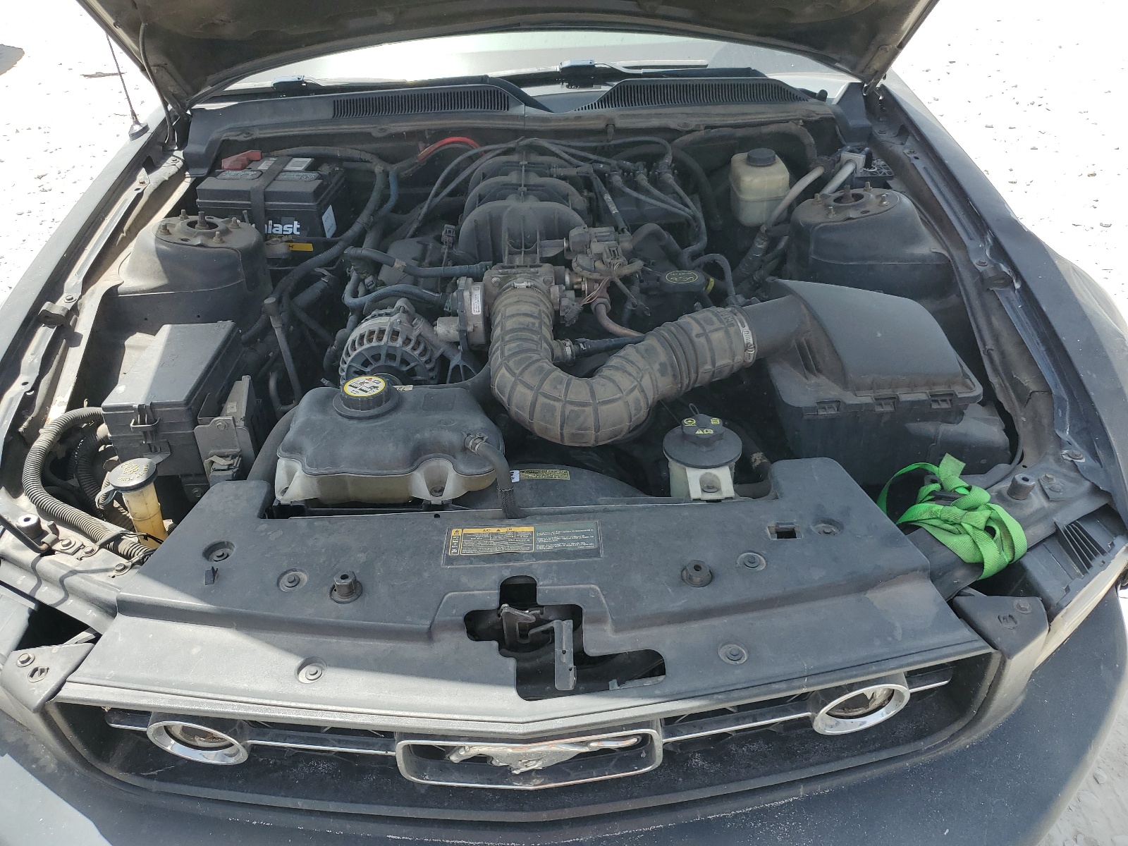 1ZVHT84N685204165 2008 Ford Mustang