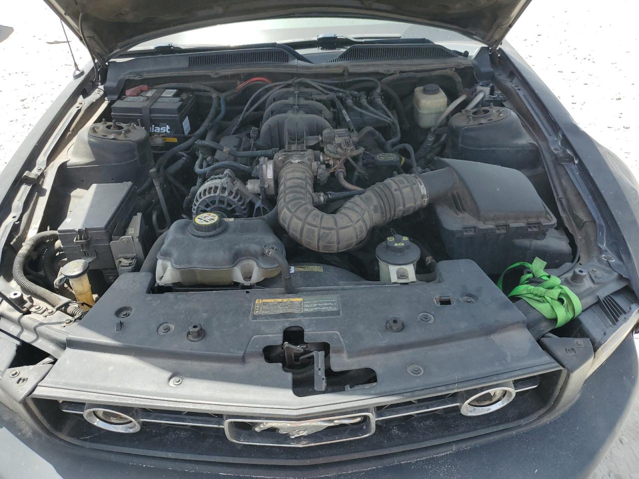 2008 Ford Mustang VIN: 1ZVHT84N685204165 Lot: 65668594