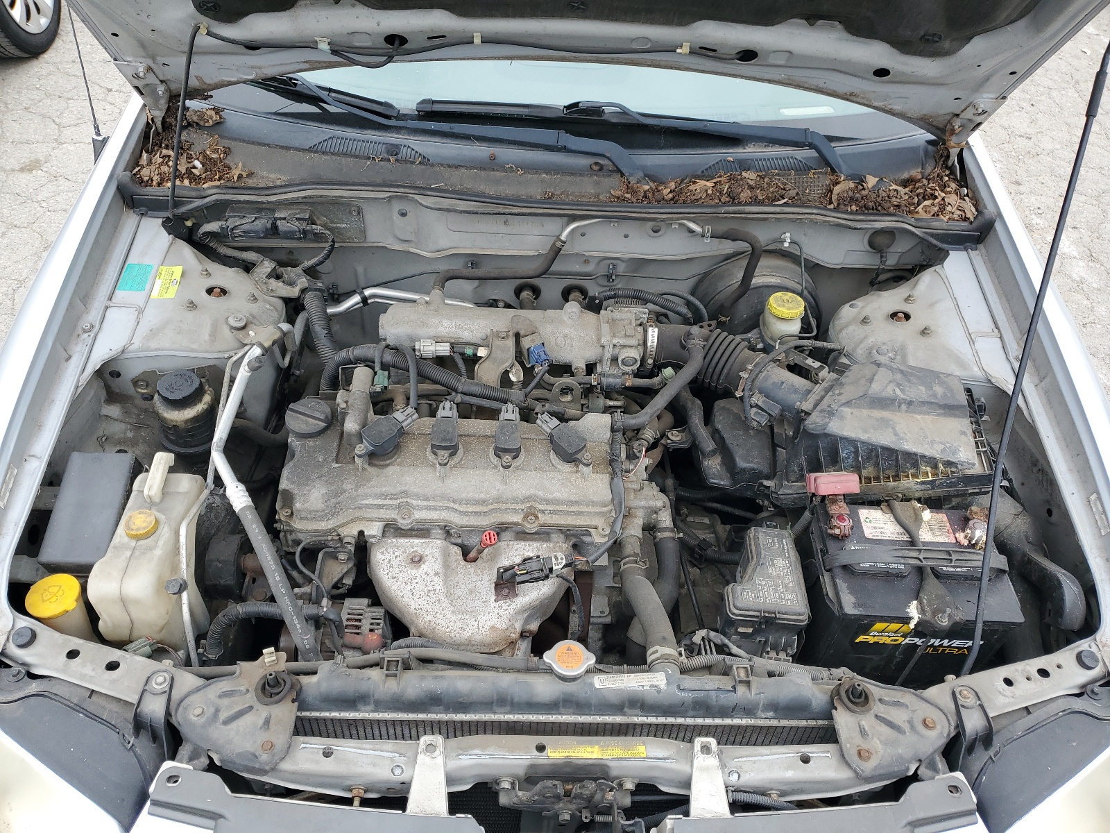 3N1CB51DX5L461788 2005 Nissan Sentra 1.8
