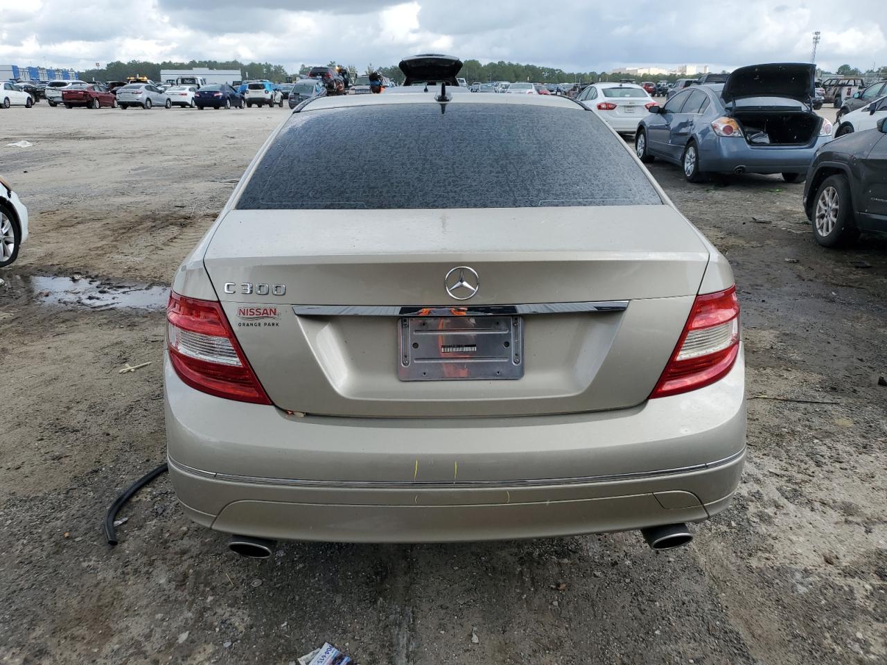 2010 Mercedes-Benz C 300 VIN: WDDGF5EB5AR117242 Lot: 67585644