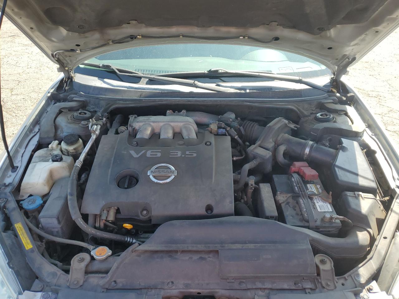 2005 Nissan Altima Se VIN: 1N4BL11D65N404850 Lot: 69088324
