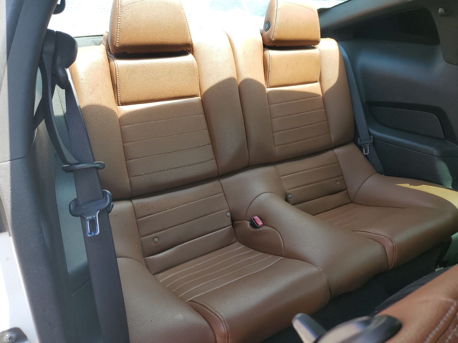 1ZVBP8AM9B5101240 2011 Ford Mustang