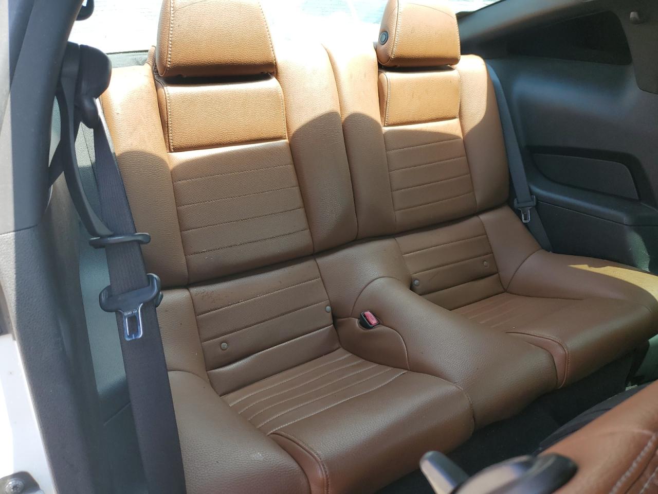 2011 Ford Mustang VIN: 1ZVBP8AM9B5101240 Lot: 66996974