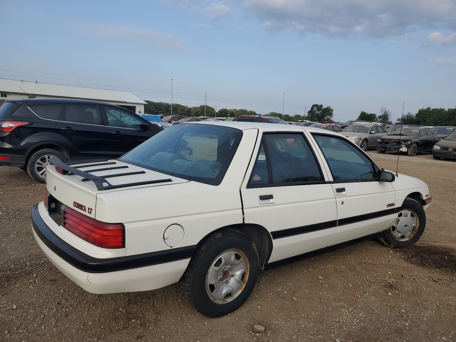 1G1LT53TXMY183382 1991 Chevrolet Corsica Lt