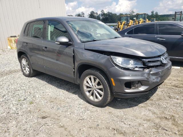  VOLKSWAGEN TIGUAN 2014 Сірий