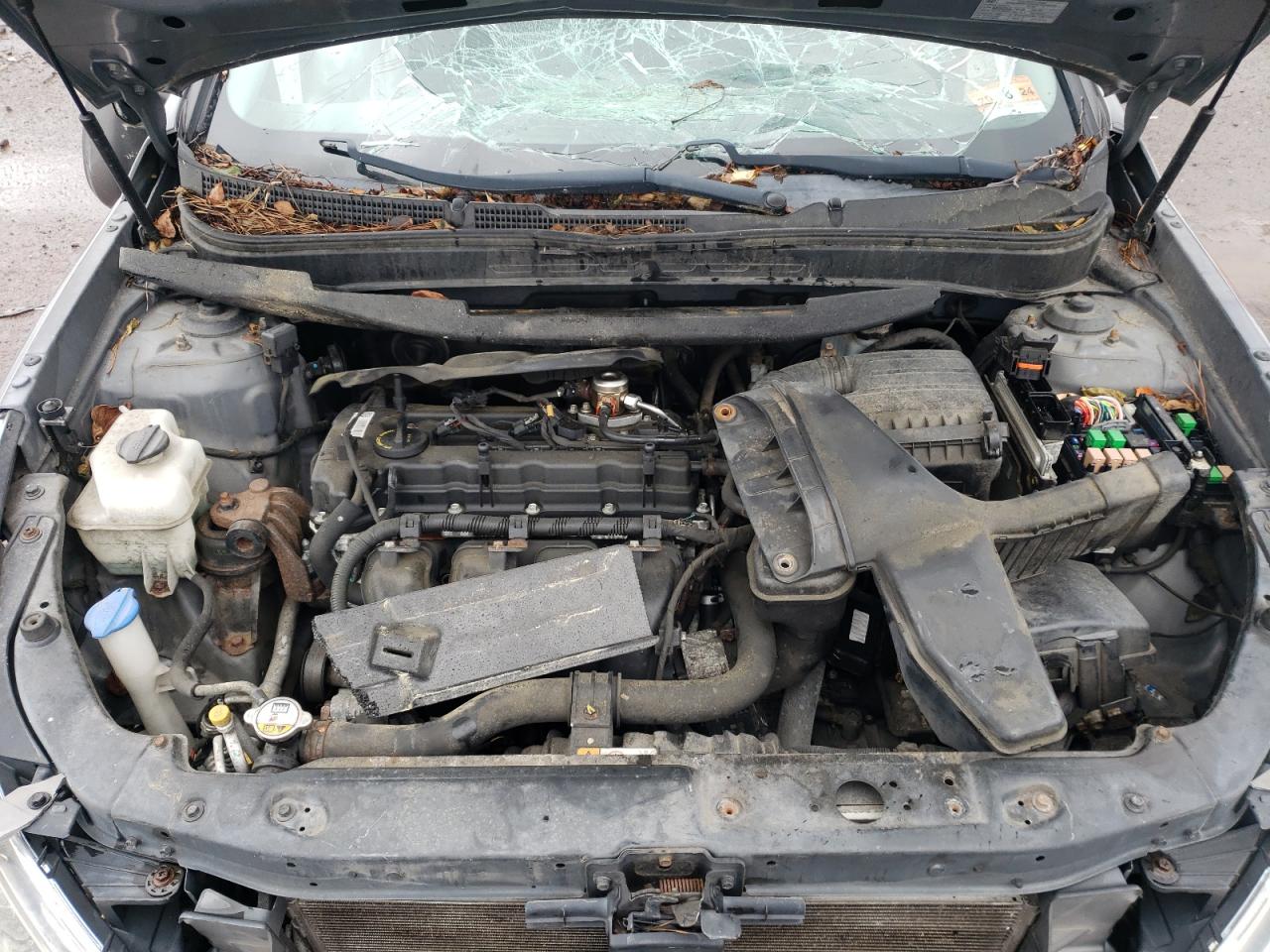 2013 Hyundai Sonata Gls VIN: 5NPEB4AC6DH565958 Lot: 66796224