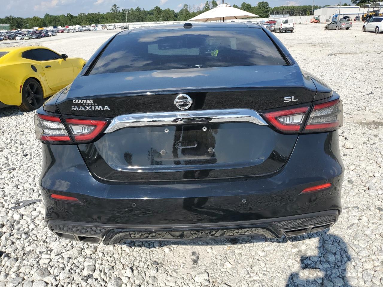 2020 Nissan Maxima Sl VIN: 1N4AA6DV6LC372039 Lot: 67391684