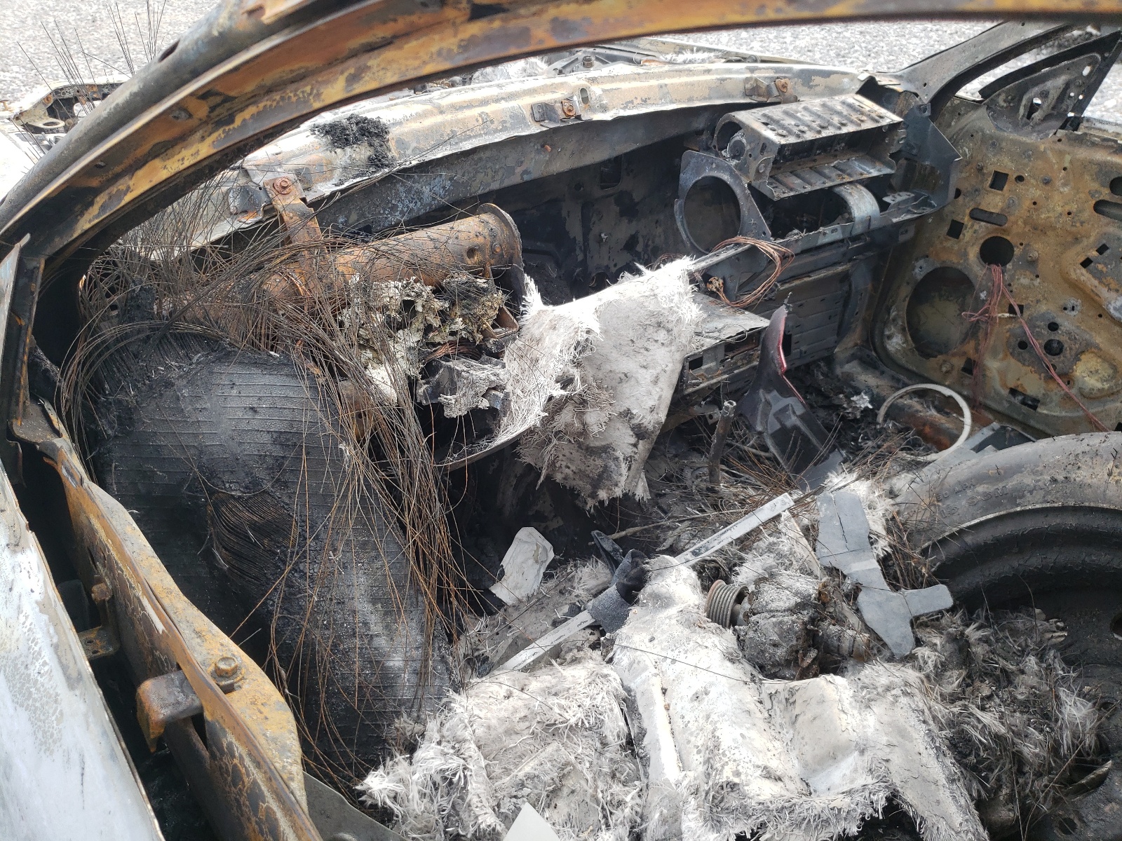 1FALP4046SF225614 1995 Ford Mustang