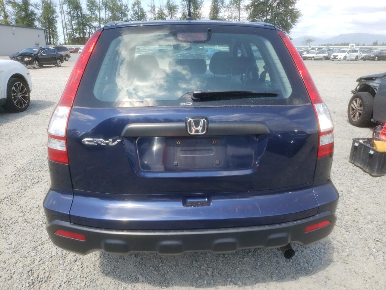 2009 Honda Cr-V Lx VIN: 5J6RE483X9L041076 Lot: 67546634