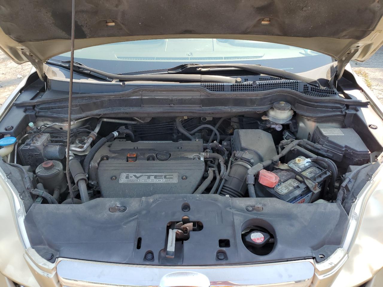 2007 Honda Cr-V Ex VIN: JHLRE48567C120087 Lot: 65770134