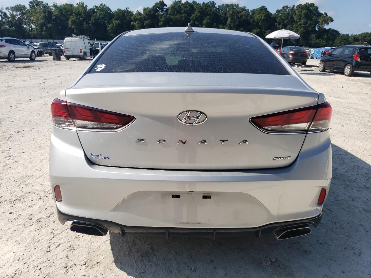 2019 Hyundai Sonata Limited VIN: 5NPE34AF8KH805693 Lot: 64551944