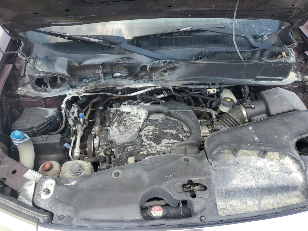 2014 Honda Pilot Exl VIN: 5FNYF3H58EB017625 Lot: 66366284