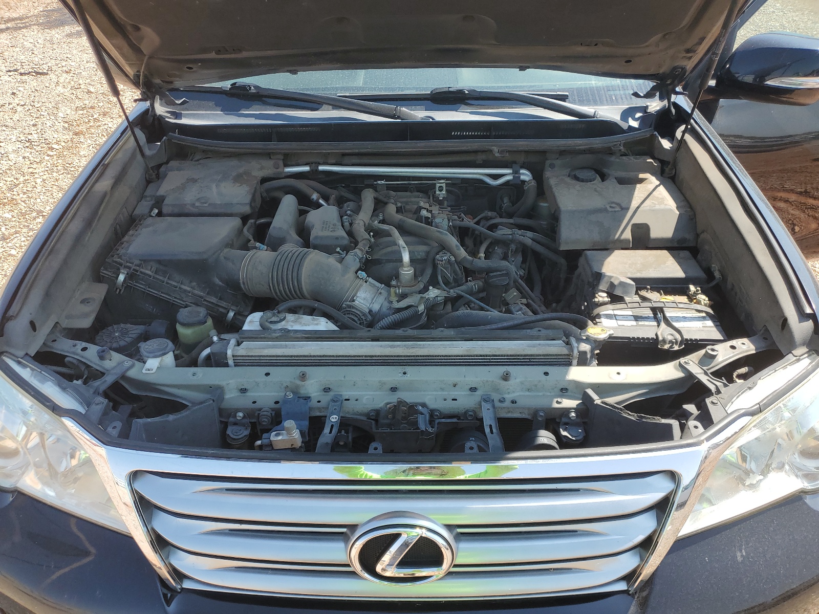 JTJBM7FX1B5033652 2011 Lexus Gx 460