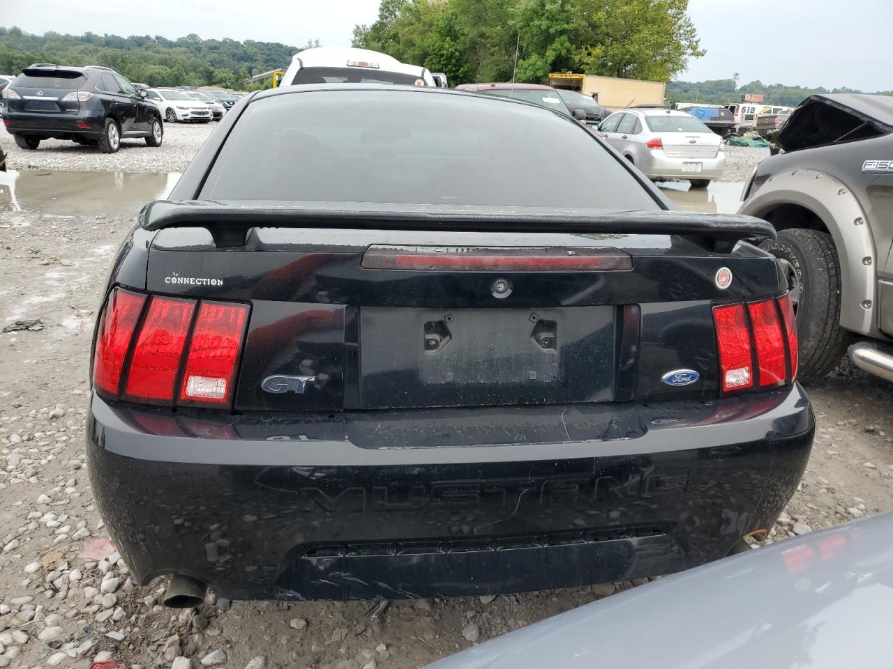 2003 Ford Mustang Gt VIN: 1FAFP42X83F371969 Lot: 67279884