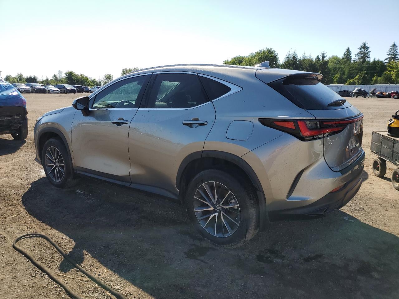 2T2ADCEZ4RC004990 2024 LEXUS NX - Image 2