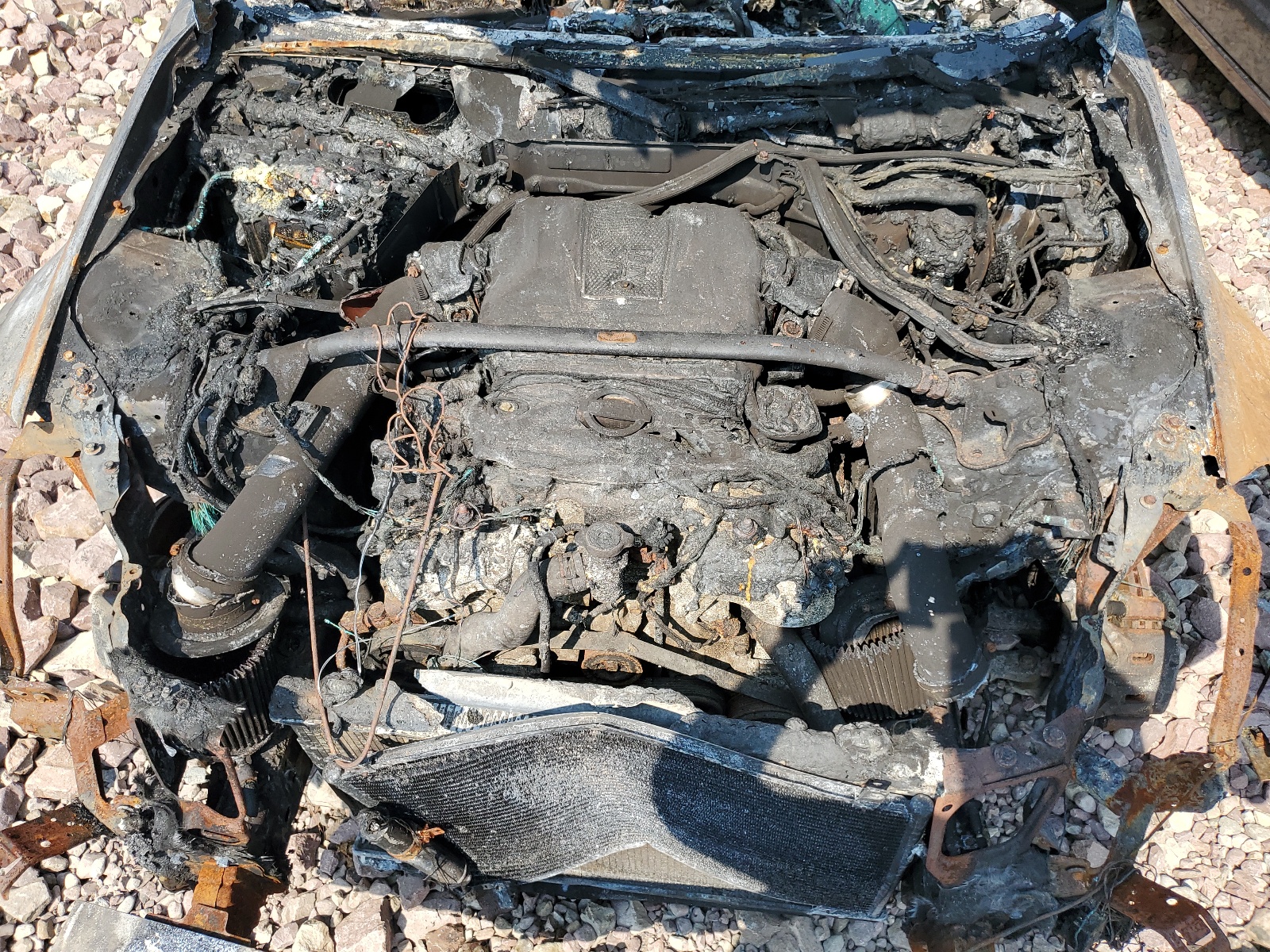 JN1BZ36A67M655561 2007 Nissan 350Z Roadster