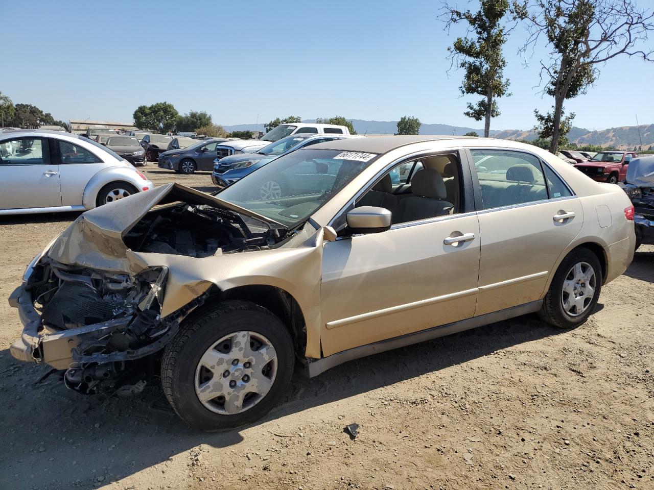 2005 Honda Accord Lx VIN: 1HGCM564X5A145865 Lot: 66171744