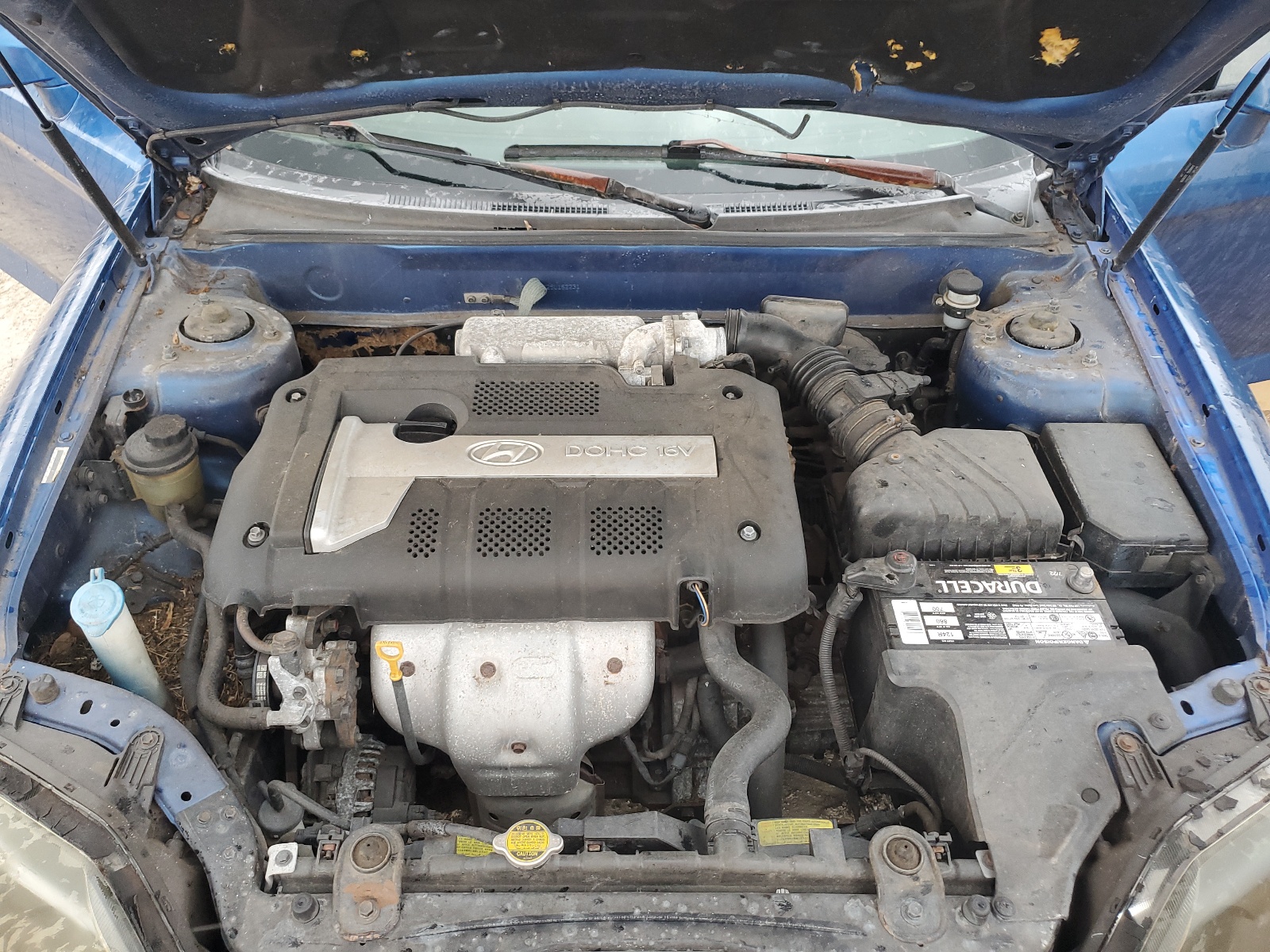 KMHHM65D25U162231 2005 Hyundai Tiburon