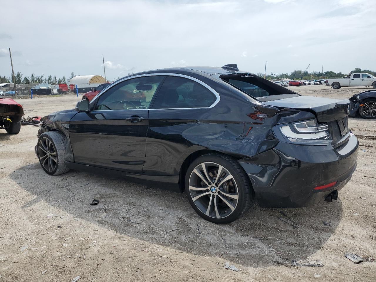 2017 BMW 230I VIN: WBA2F9C38HV983846 Lot: 66369934