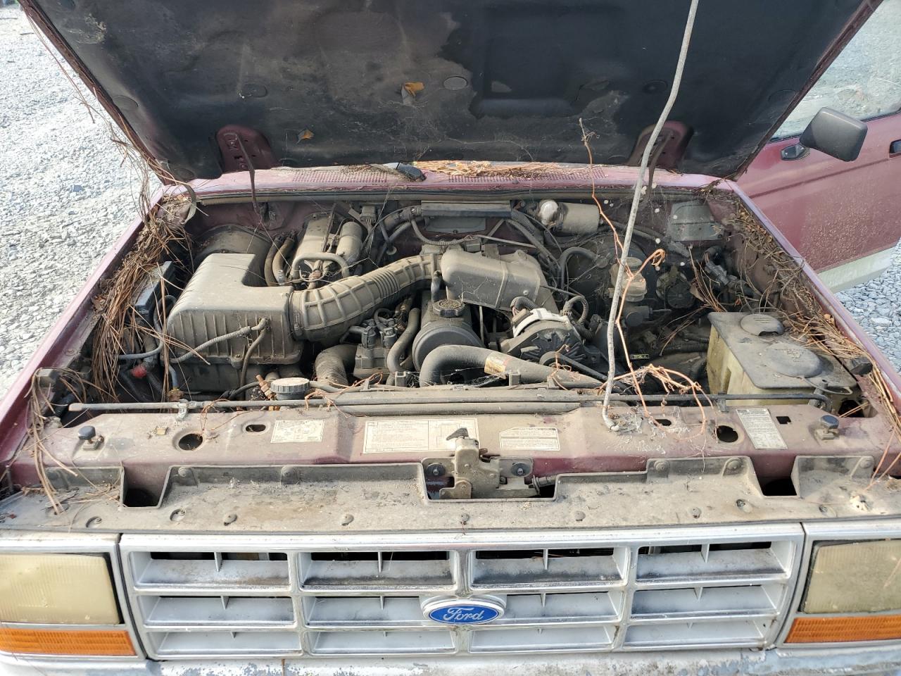 1992 Ford Ranger VIN: 1FTCR10A7KUC02265 Lot: 68237674