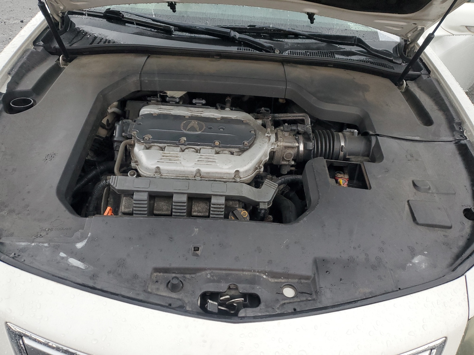 19UUA8F5XEA007895 2014 Acura Tl Tech