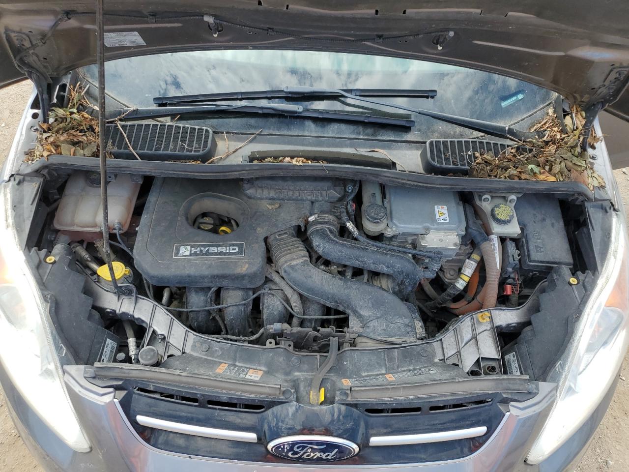 2014 Ford C-Max Sel VIN: 1FADP5BU6EL515994 Lot: 66290584