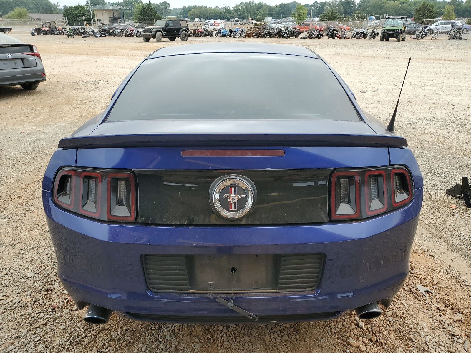 1ZVBP8AM0E5309026 2014 Ford Mustang