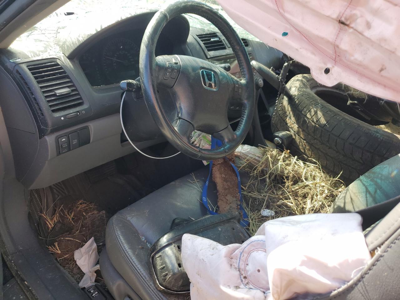 2003 Honda Accord - Image 8