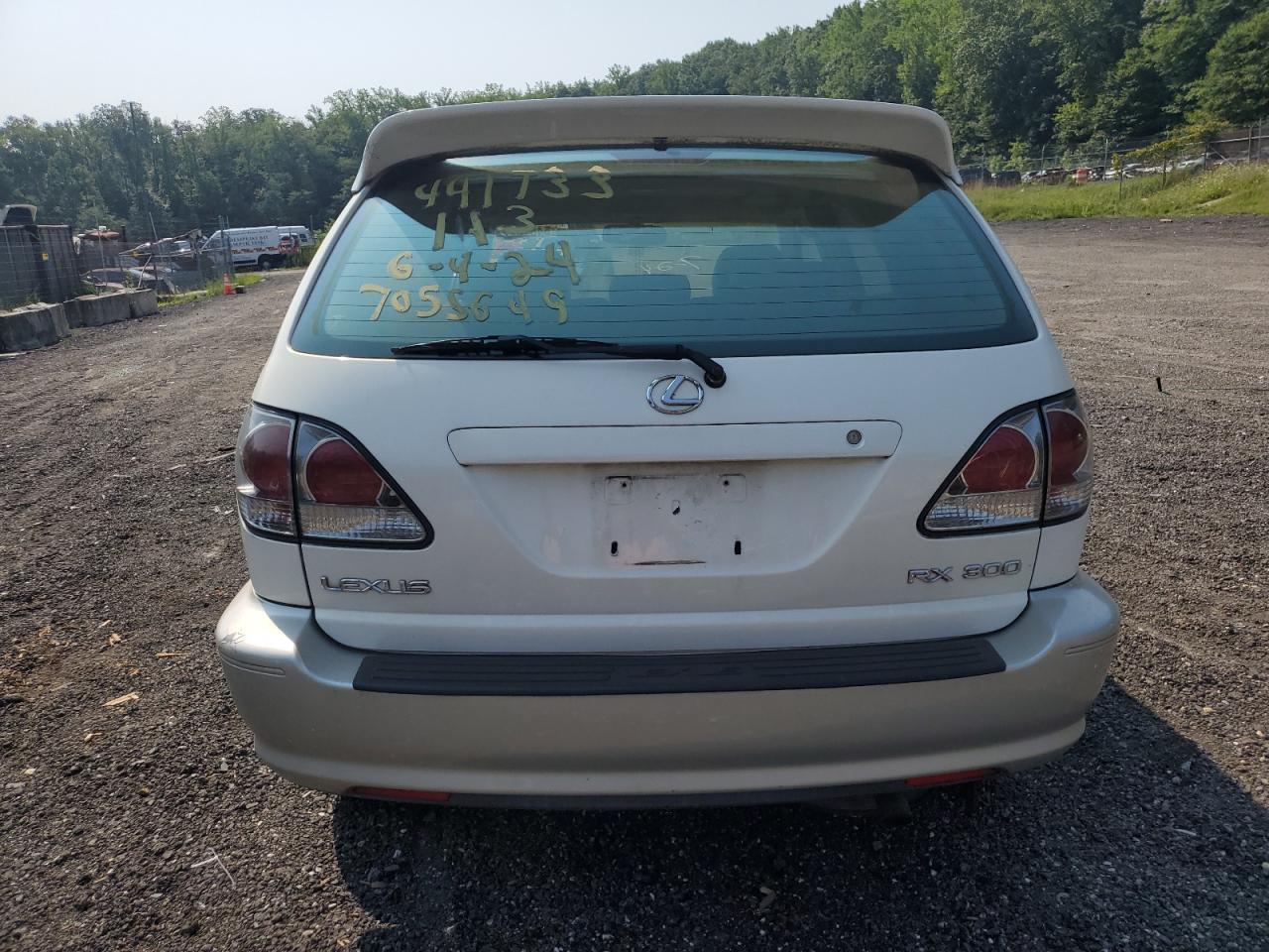 2001 Lexus Rx 300 VIN: JTJHF10U910191703 Lot: 64818224