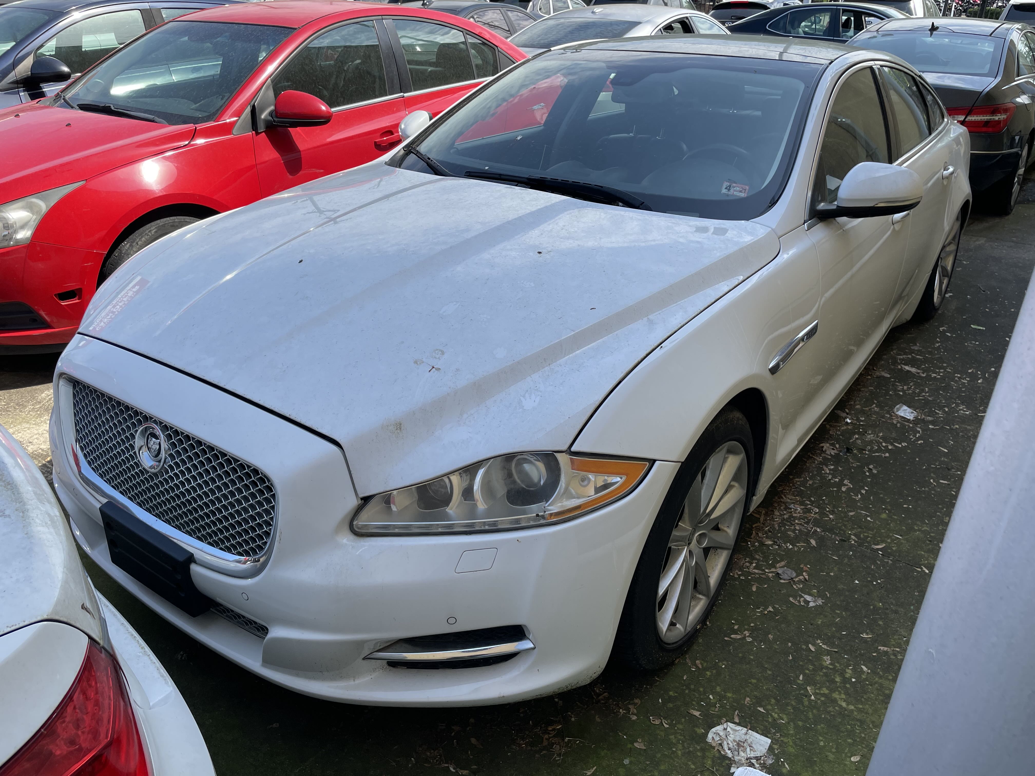 2013 Jaguar Xj vin: SAJWJ1CD7D8V49599