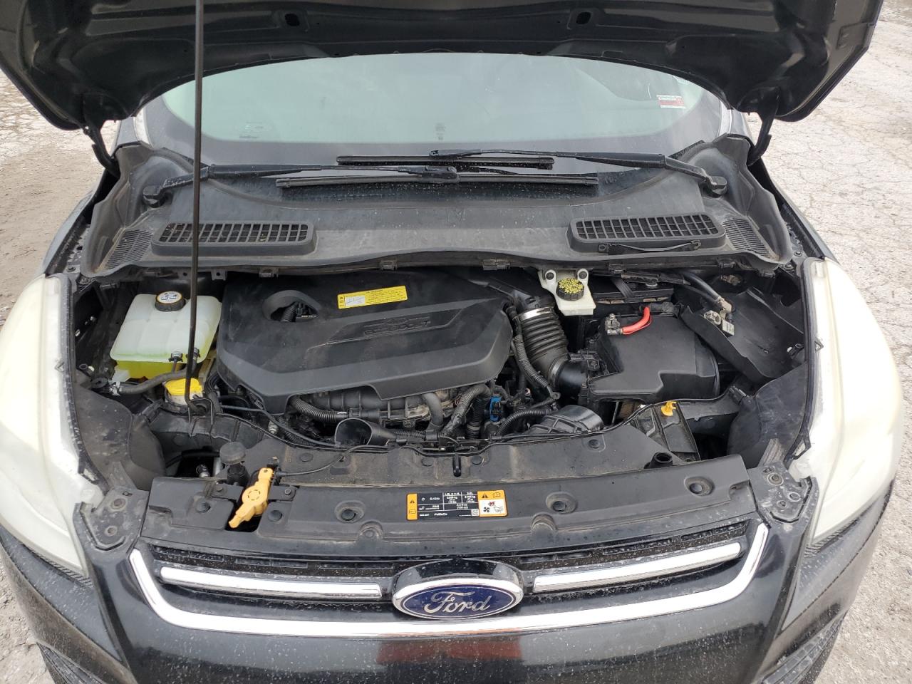 2013 Ford Escape Sel VIN: 1FMCU0HX7DUA59382 Lot: 66875714
