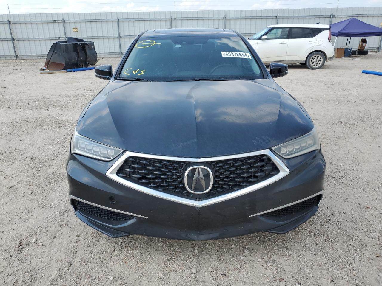 19UUB2F45LA005079 2020 Acura Tlx Technology 2020 Acura Tlx Technology VIN: 19UUB2F45LA005079 Lot: 66378694