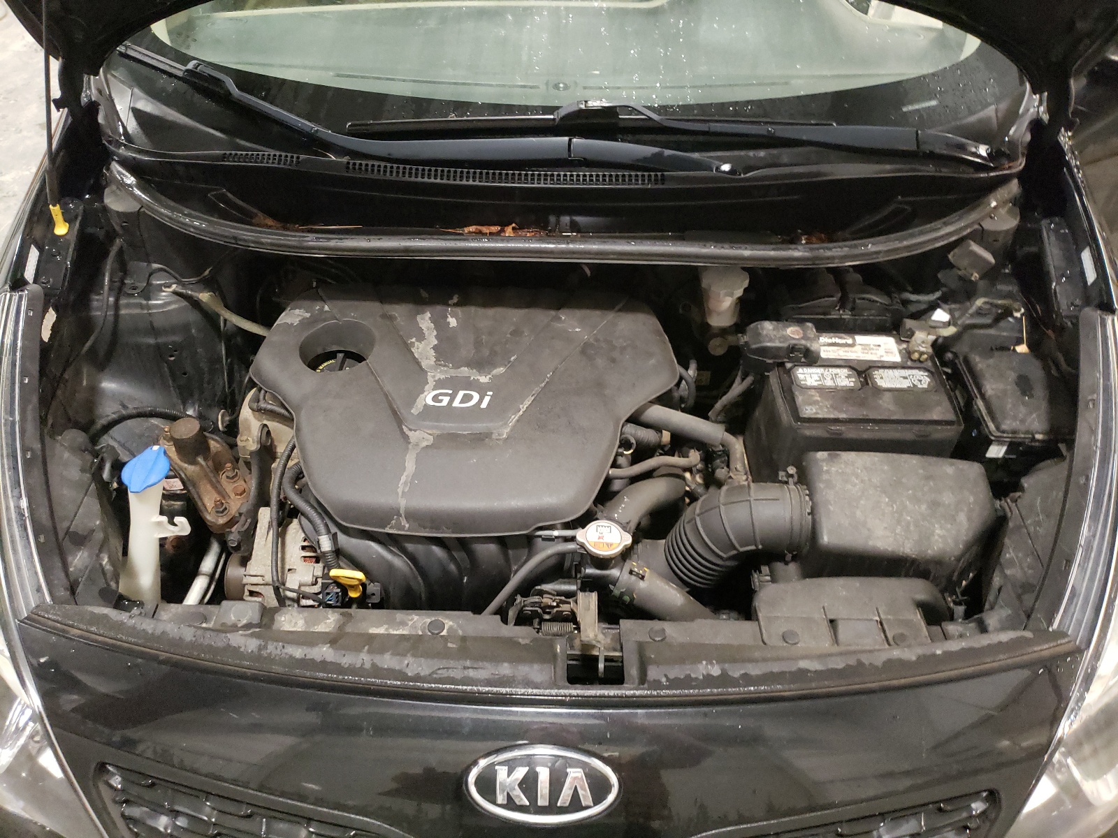 KNADM4A39D6121387 2013 Kia Rio Lx