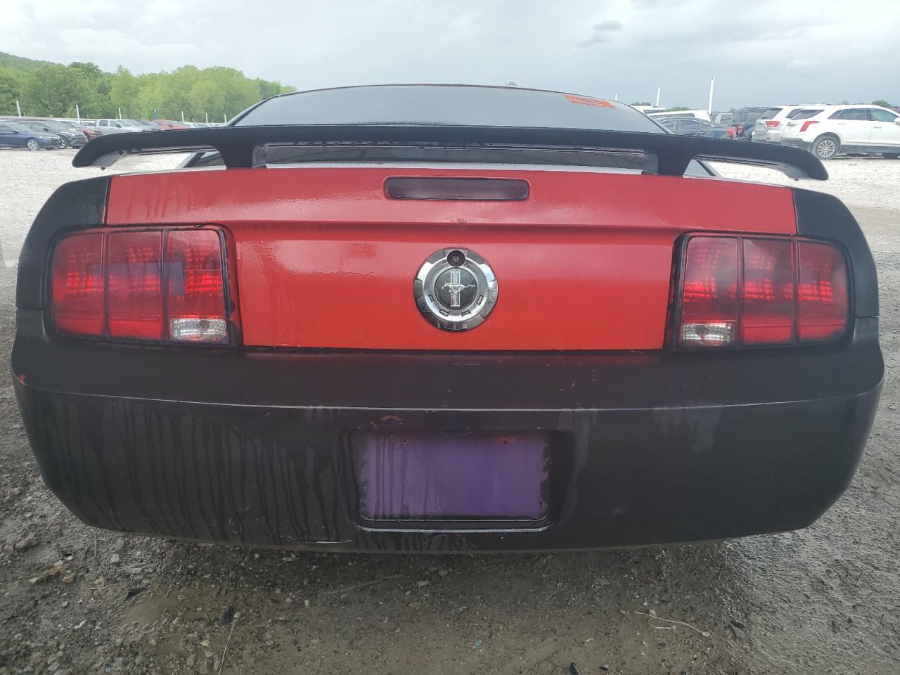 2006 Ford Mustang VIN: 1ZVFT80N765118809 Lot: 66213024