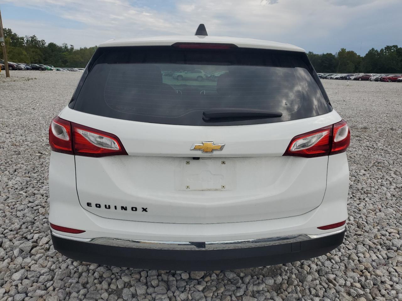 2018 Chevrolet Equinox Ls VIN: 2GNAXHEV8J6105498 Lot: 69053904