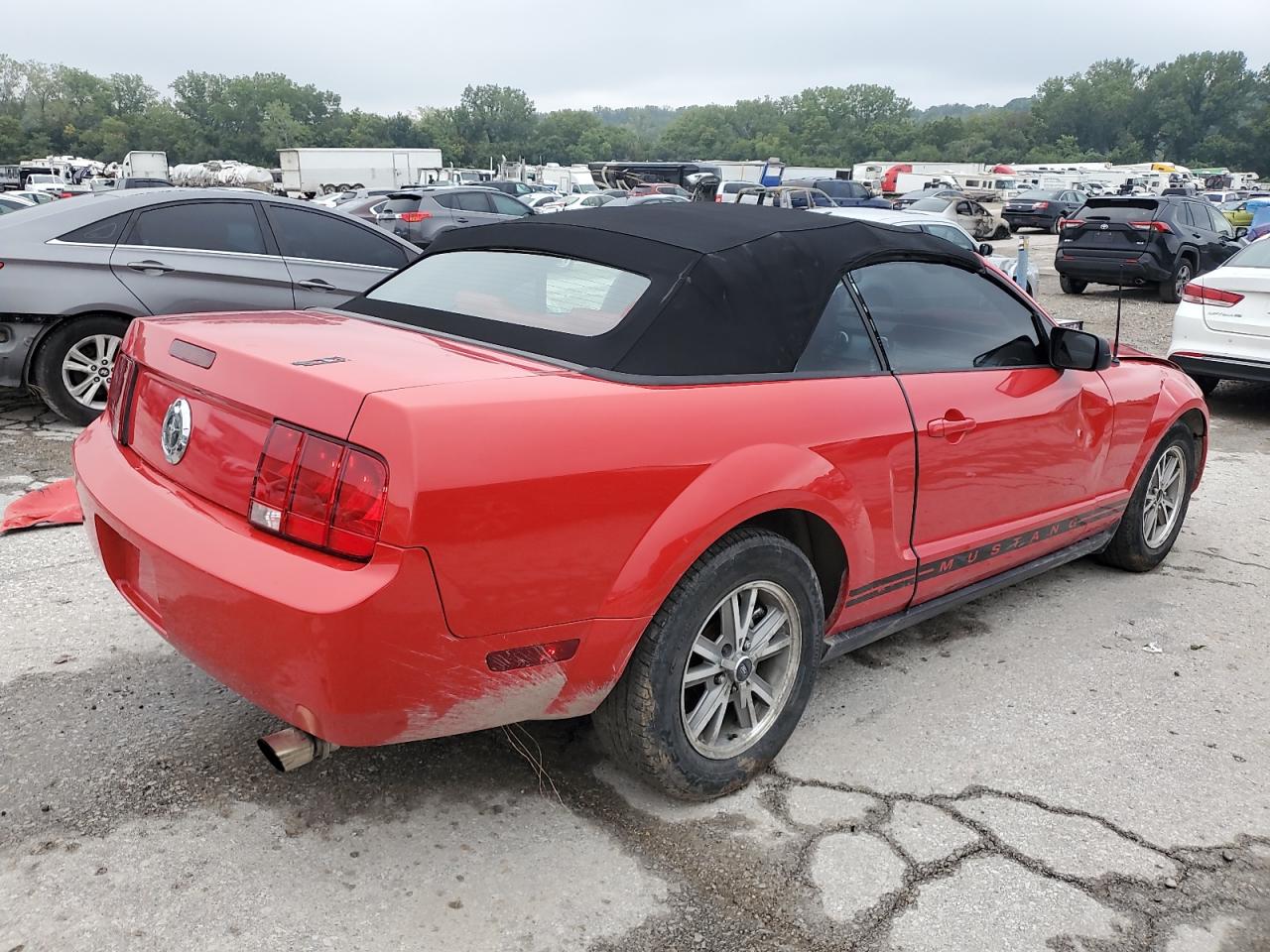 2005 Ford Mustang VIN: 1ZVHT84N655255242 Lot: 66977544