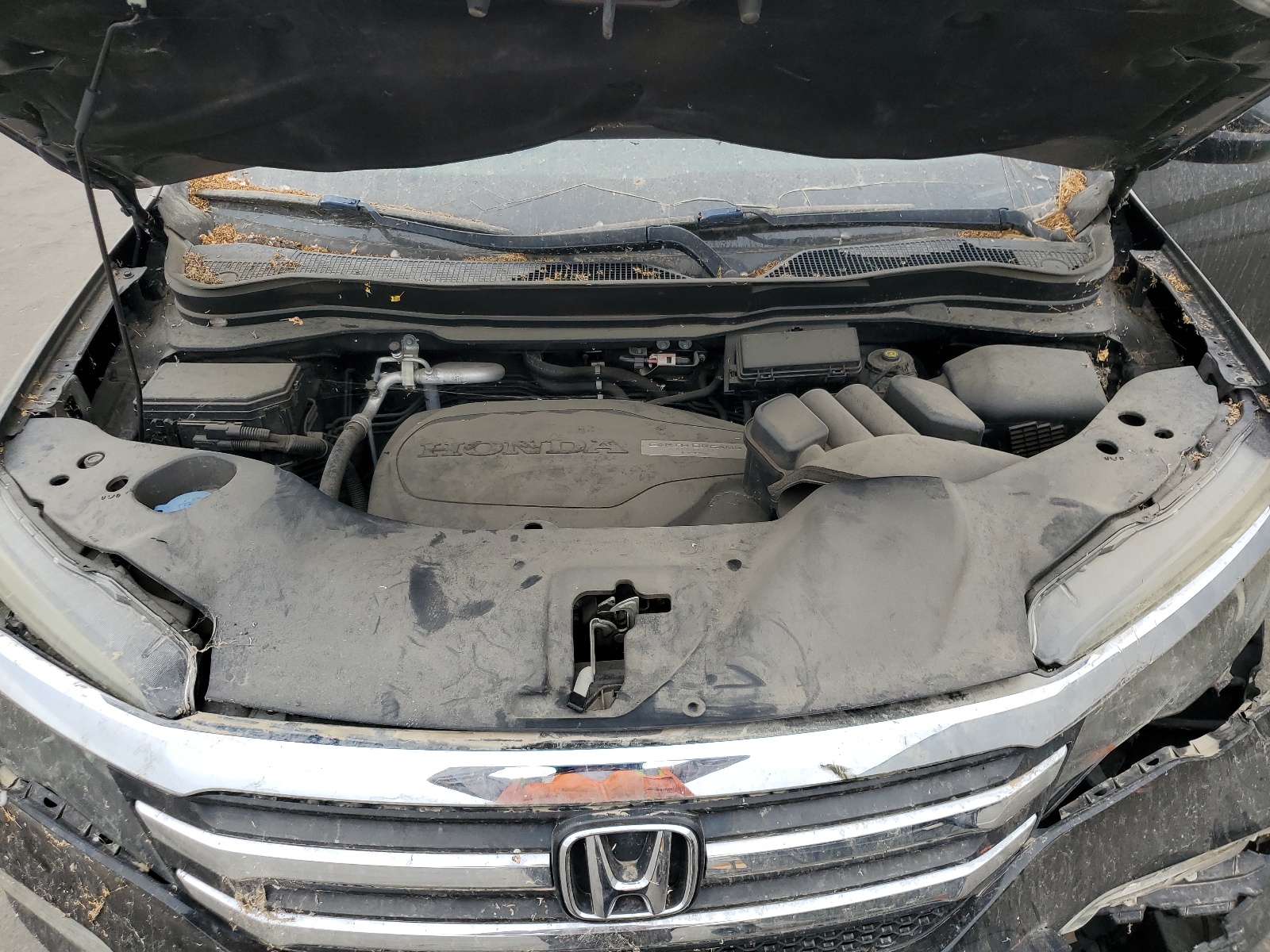 5FNYF5H77GB005126 2016 Honda Pilot Exln