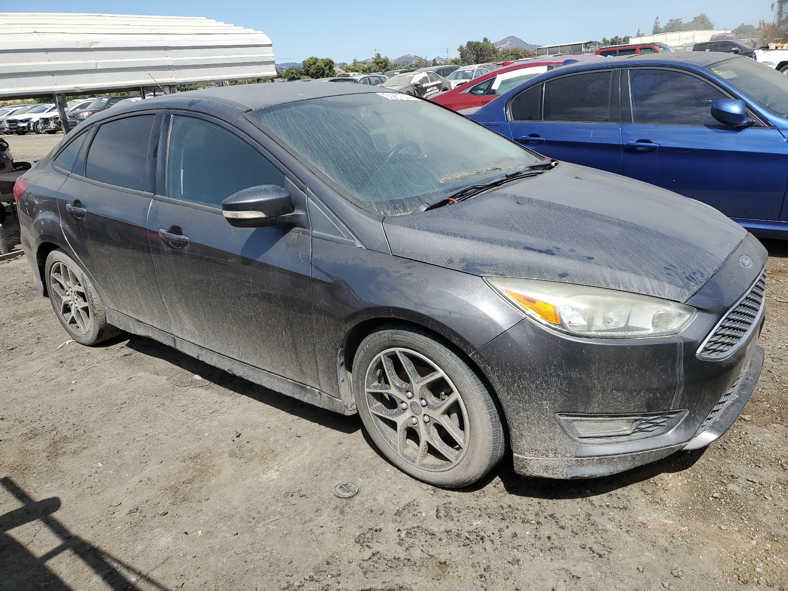 2015 Ford Focus Se vin: 1FADP3FE5FL241521