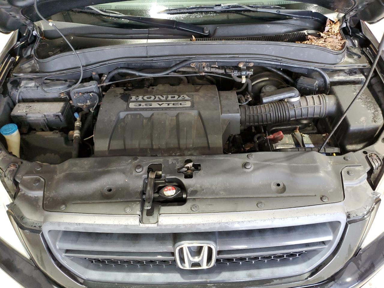 2005 Honda Pilot Exl VIN: 5FNYF18545B032773 Lot: 64982734