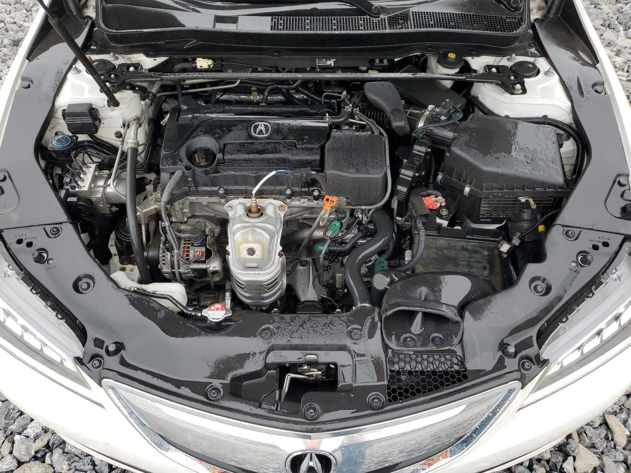 19UUB1F37FA000150 2015 Acura Tlx