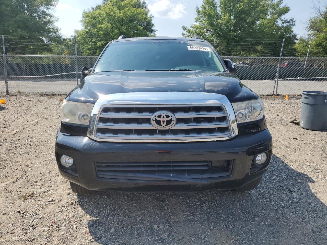 2010 Toyota Sequoia Platinum VIN: 5TDDW5G19AS024212 Lot: 66333424