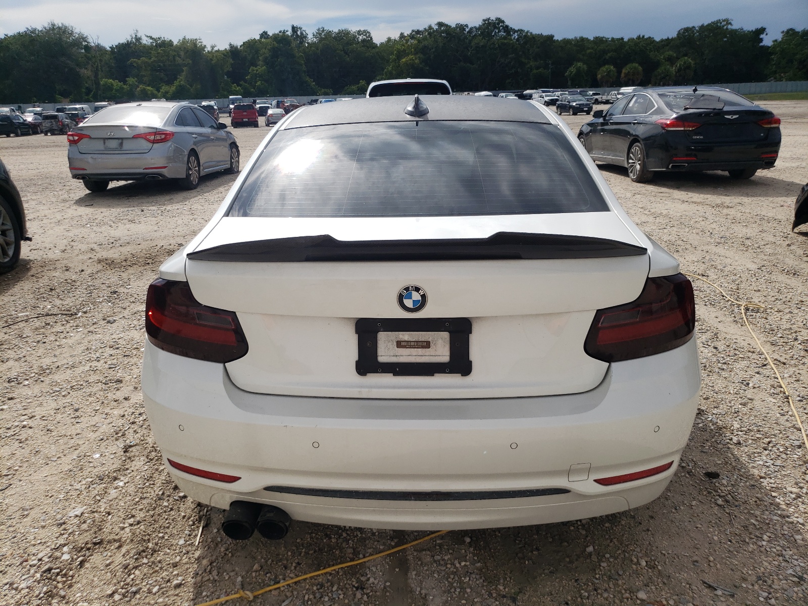 WBA2F9C30HV984053 2017 BMW 230I
