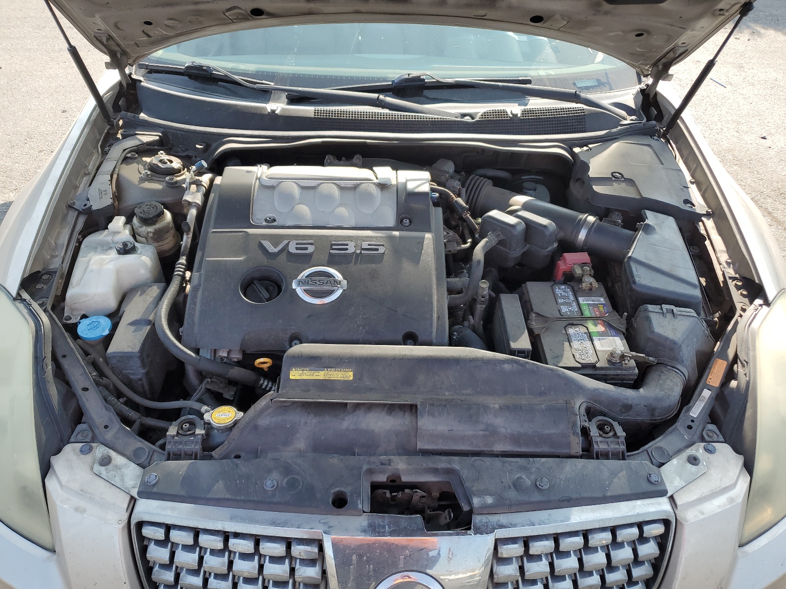 1N4BA41EX4C919778 2004 Nissan Maxima Se