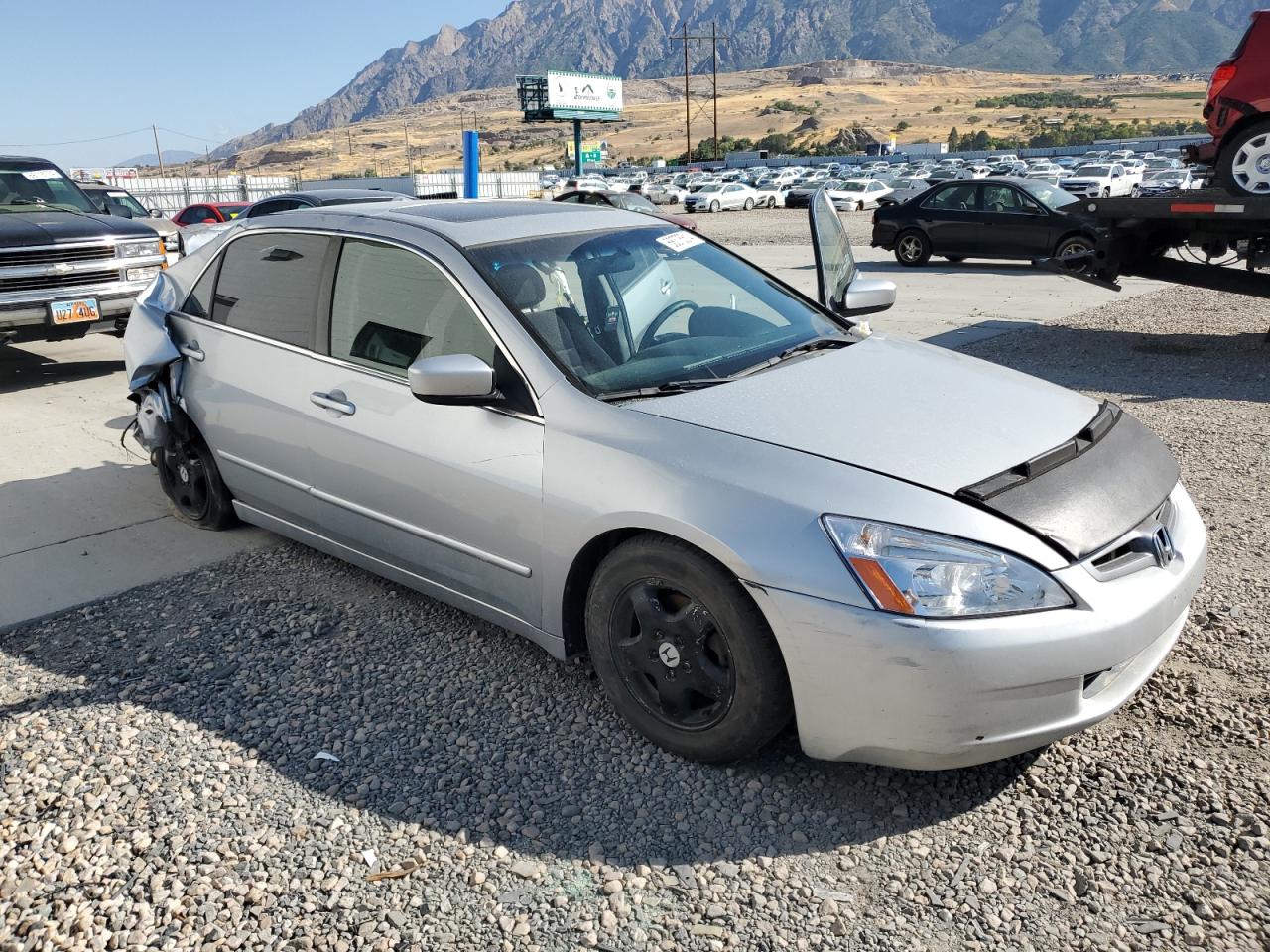 2003 Honda Accord Ex VIN: JHMCM56653C036049 Lot: 68375514