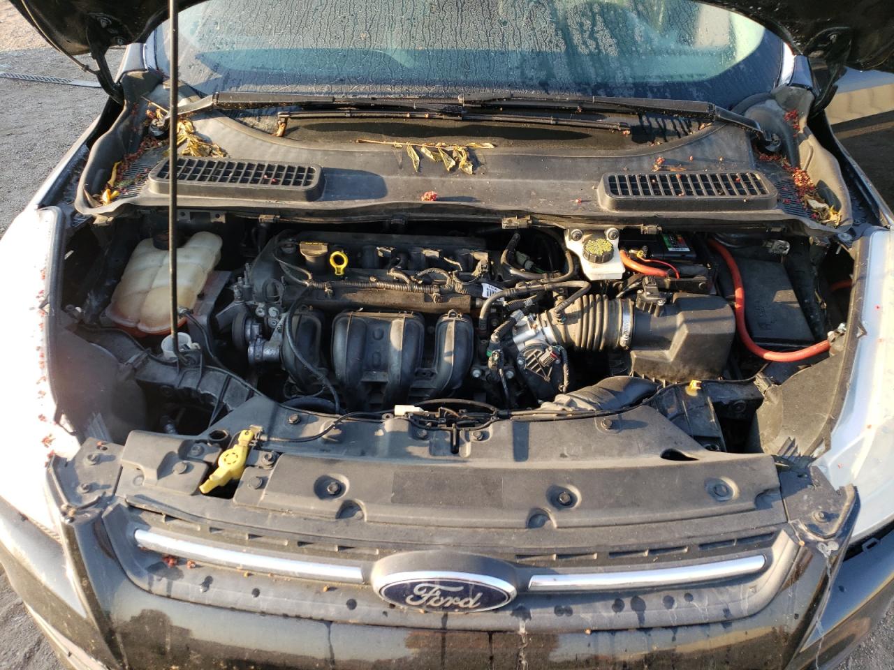 2015 Ford Escape Se VIN: 1FMCU0G72FUA42008 Lot: 67549674