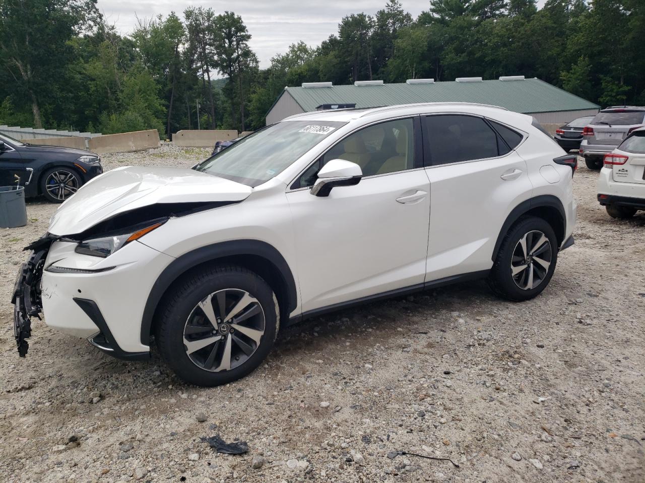 JTJBARBZ4K2184529 2019 LEXUS NX - Image 1