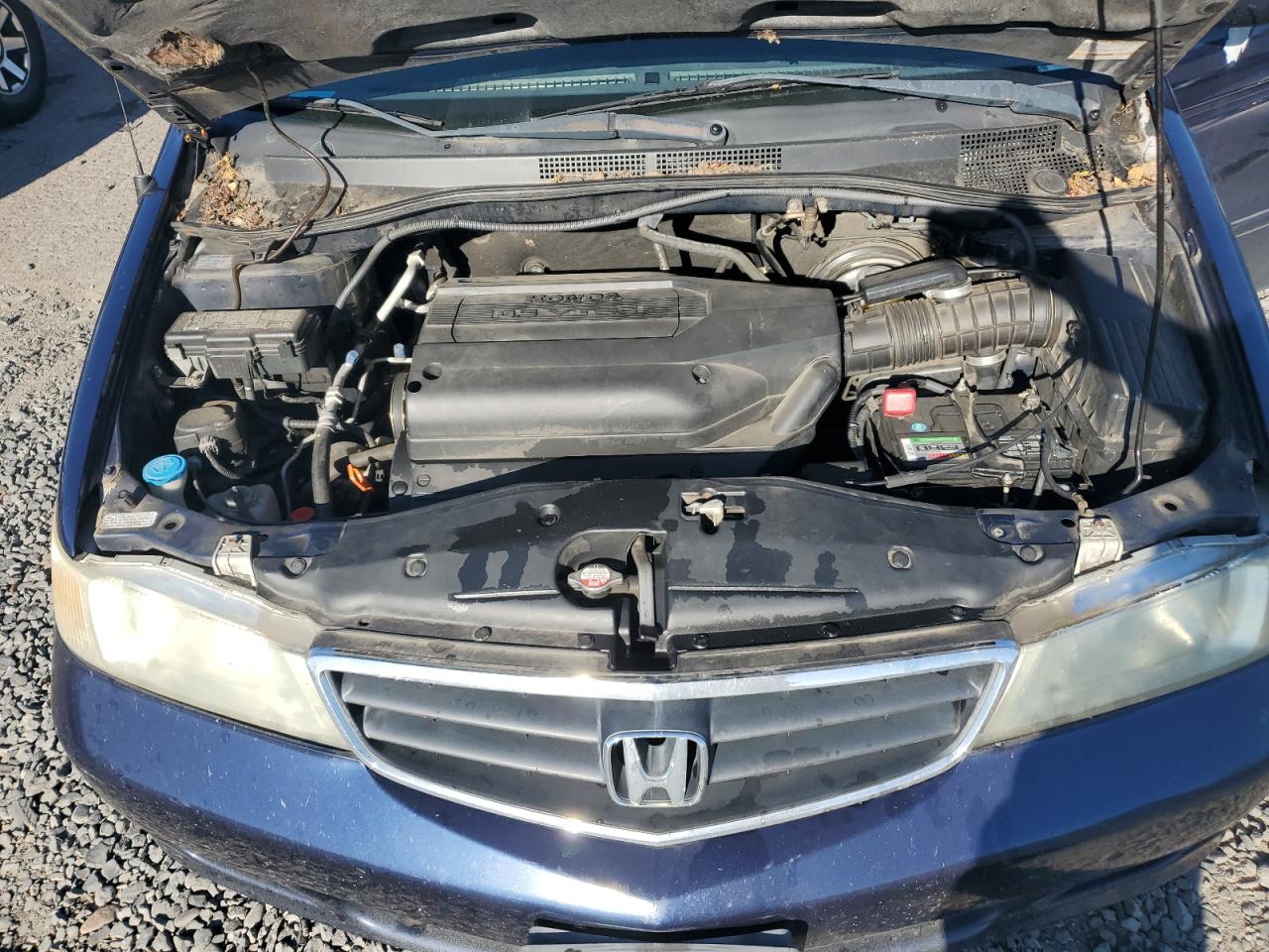 5FNRL188X4B111922 2004 Honda Odyssey Ex