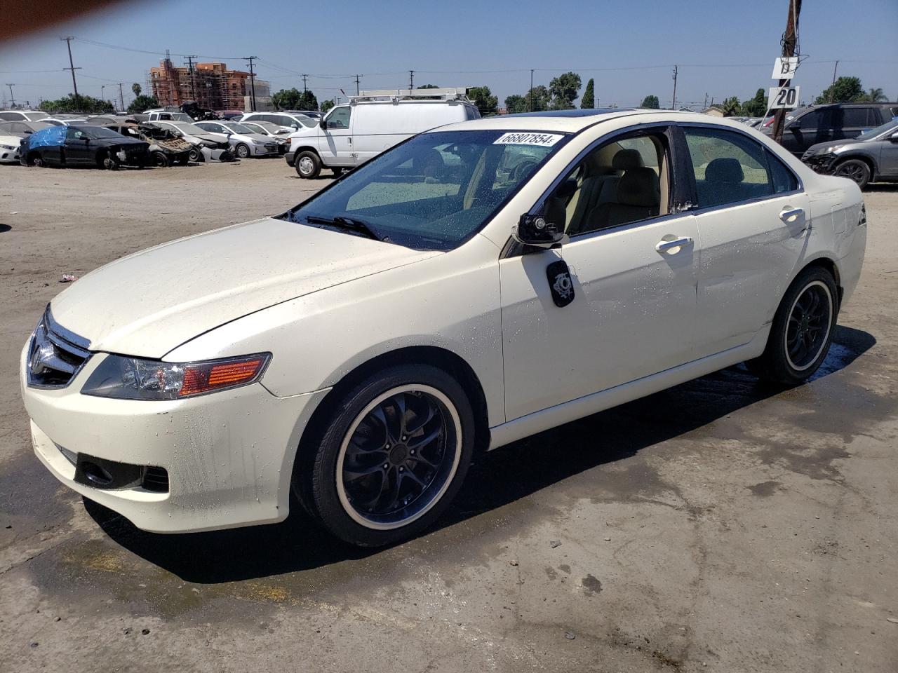 2005 Acura Tsx VIN: JH4CL96985C028437 Lot: 66807854